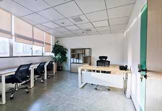 新款花卉租赁要多少钱