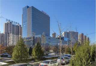 河北pet贴膜公司