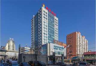 普陀区银行绿植花卉造景