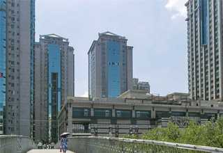 平房区清香型低度酒批发