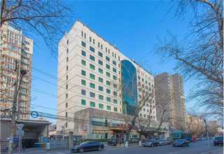 广东猫猫宠物会所哪家正规